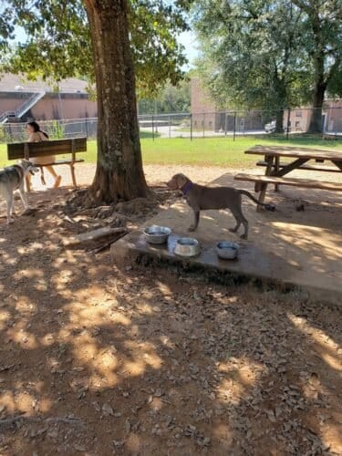 AC9h4npG0z1gQebbnXhqGW6 QFg7feKEIyKLhmrEF0pHsPckjlBoOSQQLBQmf46VlhS 4XM2mq0XSO68lh39u28VTnOX6X0k7HKtlbKMMa elnqZuIhZsGQJ23TJdhrk2cwKOXddDN2Hw1600 h1000 k no