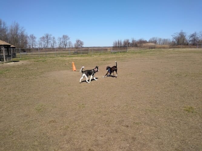 AC9h4npG82qzeNEzdy1MoquggjabPPZjLaz6w1O kyMkdkhB1BPSliPvViLJqe7hG6ynntsVrMfE4uid3qX8mw8kuLDXAZz0ateNPbFjayp040HJ5hpKxRoJv8zO  59ziJK57mzqrXIw1600 h1000 k no