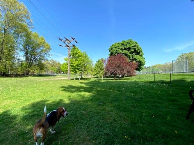 AC9h4npGFFuBmtSIQ7Iaypev3PB9n8WUMufjyesldC6zaz6eLyGowKim6LhLeP1tGdbclkoS7LKYsUYJgj7LNhs XuDkxeAysQUxRWFiHUIw1600 h1000 k no