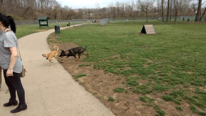 AC9h4npGJ PXLauuwE398BQrcJjarTxh3VmA5DNdEG8wHFNsL503XZ OpliRKsimrKzwb2sjNZkqeVR71F TlWF X kFgZFHab3wabiY6PgIbzRlvjHrR3w1PNieWODXgWUo q 82Mjcgww1600 h1000 k no