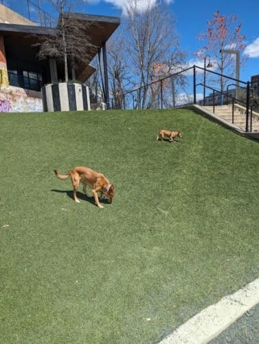 AC9h4npGNj5jcbeZVrgvUwZBGsjO9C8EjkyhmpcBUQsLjrwuwFamqam5VxKTnIfUZ8pe5N3n0dCAitRN3JhJwIDJtw9KNhe 1ouectwt3Kbknb6CDqO48oQ3b 4JftXpczI3USspIww1600 h1000 k no