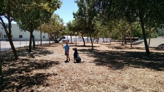 AC9h4npGVFnViCn7a zYT81lBxaxh ZGaaza ZVI4I7IB26iZWctH6oZ90u vC7mroNLvZ 5uhUOiXy2oWA8qWkNfFEVS8JnDrTKUNOO0cjsaLhP SJQoCgVk2L9zWCpMXYt8QVYx5bzw1600 h1000 k no