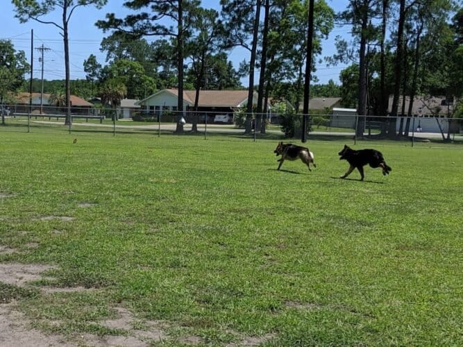 AC9h4npGcS5PzVgW4coAn9LgyqQnHV7K9Bt7Xcf4dXw7Su5kHDj8hV H9gcBOfcMaNELx1AjuDJ1ir2OEjN hLOgRDF35X3oygDNLZGR6nIMilvAVzxn3Ju uhUFzeAOhtc8IvCn2E5usQw1600 h1000 k no