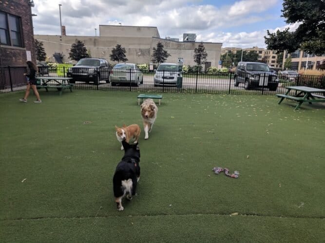 AC9h4npGkTearQH2 HcQus9JPss9IhhbbLQQFoH6wdyqIiPa7Ka8AeDEjWJrTCW1yU1IB JY6E6k5e9hrySP2PD1JWA9B SYy YWPABhhEsiQ g6bT4VhunurbHVujo hNMucez o4IVBQw1600 h1000 k no