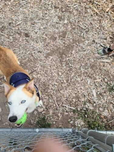 AC9h4npGx6Y8bCxNFUQyUgP4tyxjAepm a0Ls7gatoyNVvEJG AAt05v4dG2sQsZrXhlCOSkwt48XgzQ8IEFWDhgp5bhigg7JtnZkx5A7H2SeWtYytyDQobn4le7udnE7rIEfAlnsHk9w1600 h1000 k no