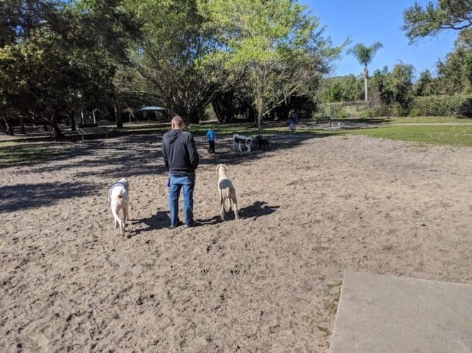 AC9h4npHCA W2Z6SxRNb2 nhDcMUCCEf6KjiazpZnBf4d8cFJmXSFpoePaJifIoMOghLHtWpzLtg0SH8PrQKvKiHvsqjtvFLSa2h1 t7PwVhKRJO8qWXZOS ojtqT58Ea0iTinrT2lkw1600 h1000 k no