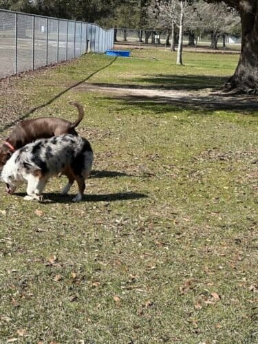 AC9h4npHEh0L aTLqkG 4iX9o0KNXQ2MHihIDgbBCSFWqvs4WvCLJwbIsTxUztYIsowTcJ8MWjyP3r vfFwzHC7aY32yXVSqKYrM qwq7vfsbtVmPmYwcomVTTRO85N8HpN4YJ4UIQw1600 h1000 k no