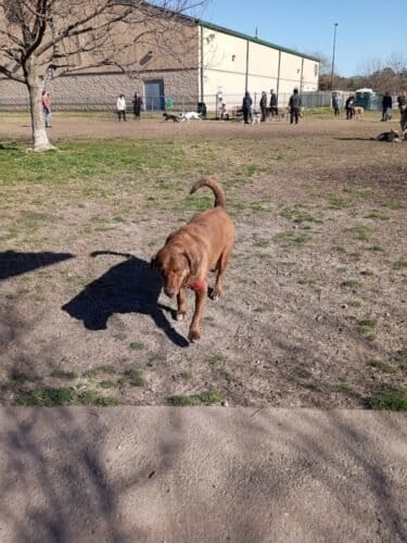 AC9h4npHG78XSKwfRaBug5j3kCqi8AoIcJrRzf8AiMhPg4WUpn1YqGtIa6dyaYxkIL39 XIXUNjcjQAjsJfxXxAZVilUACCof1iQv EazcftmRmWvTzuPhbZPPRdMb7jMAG37hXH  SJw1600 h1000 k no