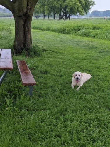 AC9h4npHKk2E0piyiyLD1m9Tp9uG 0WzOVuSjyO7uNY2BS 7Jz93OEq HBA3zKbMJA3BZ9J4yjej7BRn45e0yDPgRKGwMF9aHTxNyPR8GIK0CayR1tzClrRcNpwbBxWNBUaUwjd2A66Pw1600 h1000 k no