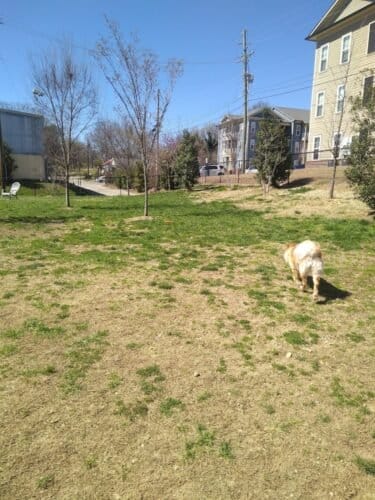 AC9h4npHrNbUf D9LaJja0VqPFEyG0M cMejeQVUCWALf8f4rn3wTkV3ozZfYec2oCWemTcMrqGZ9Pzk1qYa Nc9 RJkRH02GjCGkwqmAmoNYK4zs6zZu6olgR1VKuz4x9lQXGxaV04Ww1600 h1000 k no