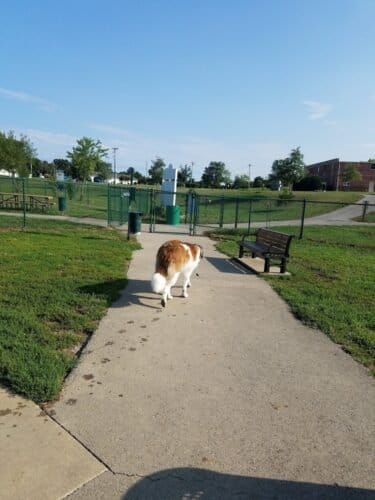 AC9h4npHs8Avk giyYua9kNfNcIGFNSIbCmzxOUGocb52pHgEbI n9xyKNzlgCyX2CqybcDddgG0fD3 VUnalHCRJ3TWhmH  j6cspvJ6FRgFeVotnqFWy0qsEeGq 162OjZcSGpa4NNw1600 h1000 k no