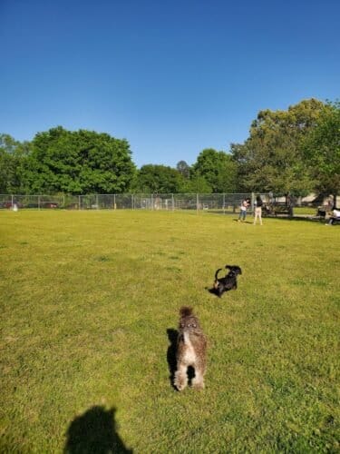 AC9h4npI0TLISPRk0RfVFRPAGIqWA24mNK3uwVEWt7m1MJA3E2M DTZboqm61GK18ET6RZei o1opm3r2iS3H egugV9dY2713so7pdwXsCOnBmfYYqil1acdMmL88YmGnDCMgVaSdkNw1600 h1000 k no