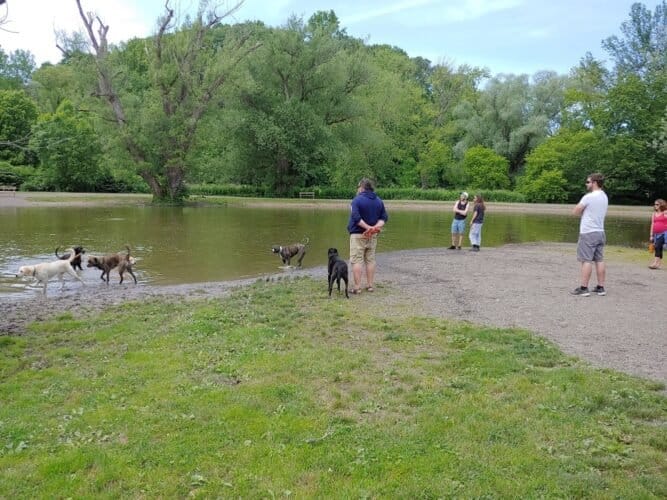 AC9h4npIA6trMZWPFG6j8zgHnYz38eAruO7i4Esy3R6kK hMzBDRYoCDKsJHmiZaNfxaYrg1xTWLXNnBqHu9YNC1Bf7cEfwHaPRvUsZEA rB1murvMetIJbQhBWpjap0KVl3fWbEJclfQQw1600 h1000 k no