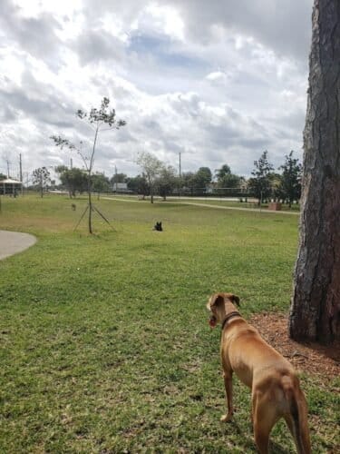 AC9h4npIPIQ5nk08N1MWjM1cUpSzcFH 6tfDXXU1blaHzSzIrsvqynt6ck 2HmCFdTDIXgLTqOHmUc5A1kKBWLZ3HnOomACTRWMyY1cwkNJjPAoGUZAEG xbFFvJ3RccK0IJOaMjeb0ZWQw1600 h1000 k no