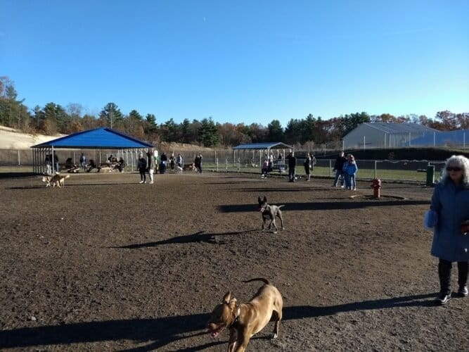 AC9h4npIgSbk2lN2EyPQ2 jl8oB7Hvps Slt7Jvu6EygDrzbl5HbQGoG9tEvOBC9vNpgLN7fDVWj IG9sIUPTthXulXvCzLeGT2dodVMFlqD2hr3fZ6lYjWX7rV5yImSqma e0BKA7NaBgw1600 h1000 k no