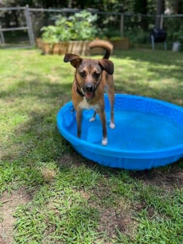 AC9h4npInTswi8RLUnIO8rj6AB3MbHktEDiJjAjsOqfQgMZGj02Wr15nNWWLdilp2u2 hdDH8Sd0Zh6bxkIZ8OPhab2e8Y8dhin 30dS5kL1Lc YeuhasGMbx0bYTspCeJlp75B9p1KT Aw1600 h1000 k no