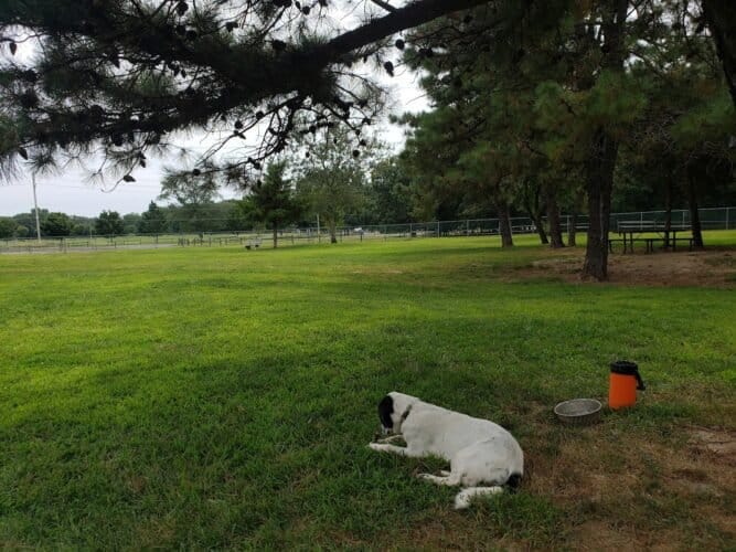 AC9h4npIui jR8ZnYJuYuDCvG3sMyp9Swq0y6WJSSrG wDF0saI EdS9QoRSxA3RQ4R9ERwo0S92gOiZ8qNcbPwx1d97JELchBGDj3nS1Aw1600 h1000 k no