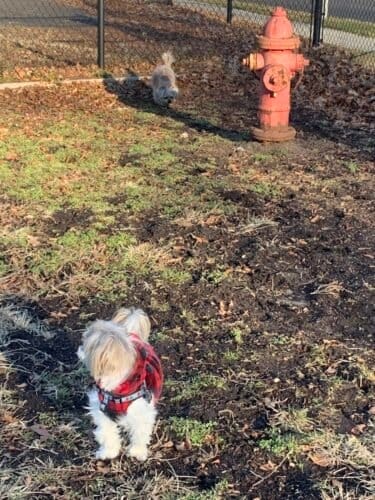 AC9h4npIw9 0v5Pt0xqh5C9hYi0H6x8cQ CH1OpsJpS12HC5xvLsPfFOJSQmbZFIUJZuGc1W8gfuUMjWG1y9Vpv GOZA8GUPSnIjeSGKAKTUF7 DPCmkm6VAFnFwX712ULlzit0h9Uaw1600 h1000 k no