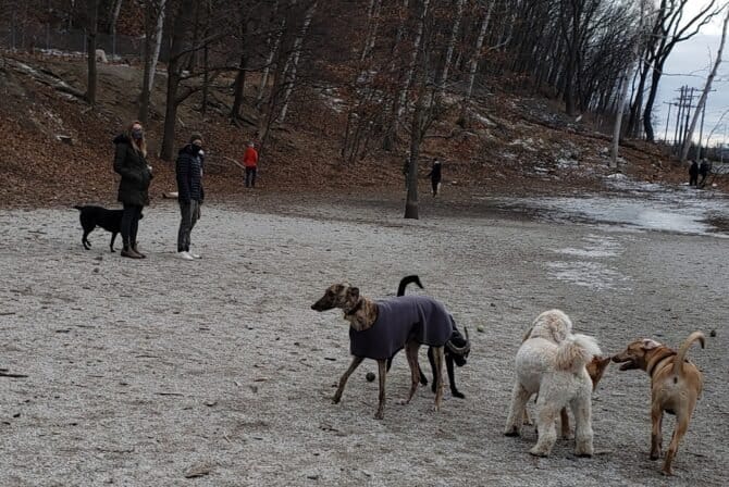 AC9h4npIzWvGyescGb8EcS J4NJQdklvLfS9M2J 9T777Cx1SouVmOx5lb82mRR927qEgo fbKPspyb dM9MTWP8 15Dzb11GNtbyoj0GxkTunDTeYPnt1eYaVjCgHFLPKQQtmAwxu76qQw1600 h1000 k no