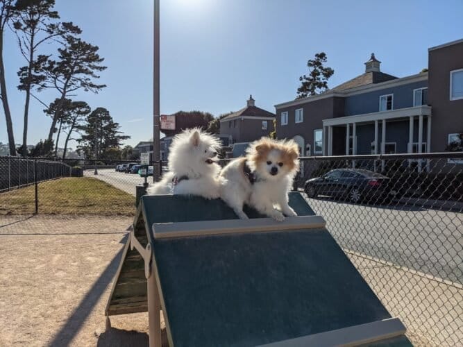 AC9h4npJ0KRDcqxvel Y4TSydvY6mgDR9PCc3aJucap9NHkEZi82yMlH j6e Up9MsEEQLEbsZG8ErLl1nvF xRkML7UTVnRaYs2mCAw1600 h1000 k no