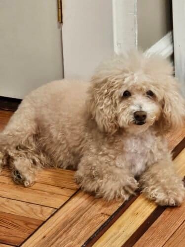 AC9h4npJ195mA7HY l7w19Hn5skxp0wCXhu23IyQegD9G8X0dCDFUxs0AjKstO1wJo9Iwe4Ty UpFS 2ChEW w7mNkdzqitBVMpYieiD 0XL1szdvo3yhA VF61JoZko6vkMX0GvCquhw1600 h1000 k no