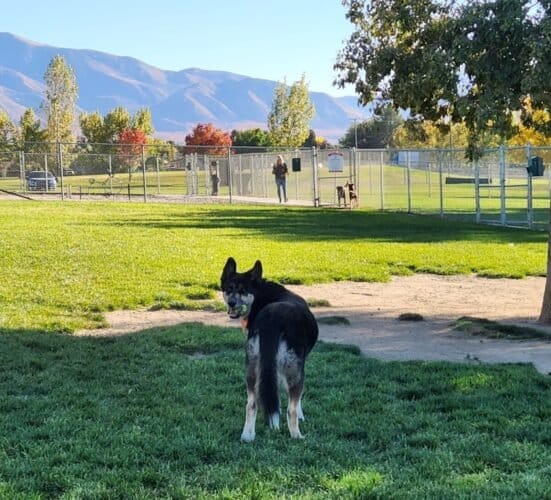 AC9h4npJ9KOUnjQCcoQV1nRROzXw9X3tC1QHZCtVHzLObmZdWnKEulrN13B9VShBYw4PMt6wlhoT0Od62XjRjYxEoWWH70w NnfRRR8RxQw1600 h1000 k no