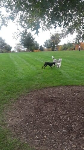 AC9h4npJInCrFAAhfqUiUjtJNeqopjYQ IgLDiNFPL7fPI9waquvmIziBK CZOkNDe4OEfXtdRaX3YQrs0tueah 2Zh8KIF8jxxVhwx9ADhRj6qPjdhaUUHMGrCqV27rLluaqTUdKXZc7gw1600 h1000 k no