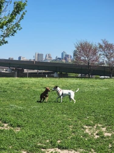 AC9h4npJLOxTY47IorGLRDBLC DE6hXuJ7HT4ibyES1Ktcx1oeQ DUGT 45IAS0j6 A16DF wyJwnpTr9QIfkbXa27 v Vvo m1c N71U 9rPc5WDgjHEPd6Q3oiTtmKz6CMT76AN1750Qw1600 h1000 k no