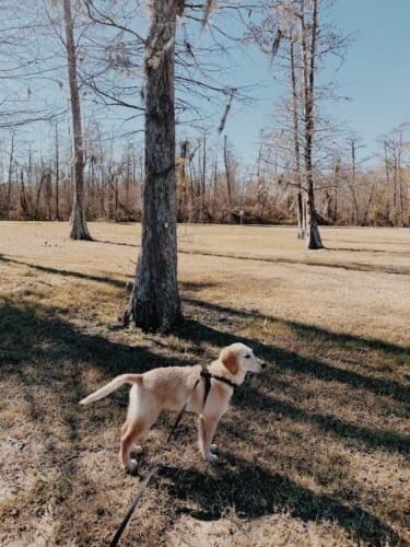 AC9h4npJWLXgY3WWjZfmXqva1Kcqp3JO03WFRV4bC325MNgcJmaZqtLtMIlbbWDbJfUmXe2e9qt9EDCQMH8Ik8mfkuMjDm4eTYpbKX85DxkrVg5RhghZZlmFnvvNCusMiTkkC ceRE8Bw1600 h1000 k no