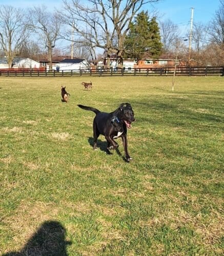 AC9h4npJdgCbjJ3vEKuKcZjXCeDWd4VVllByuXDdjEZEoT mV5MJGkGZUl1t1g3yDccfGHpcH78pqrXSqwz8oriCpZI5IZ3ORunqcebTtYhFYaUU4Zuv8aDkv3fmr7vmMH R2EtzmPeVw1600 h1000 k no