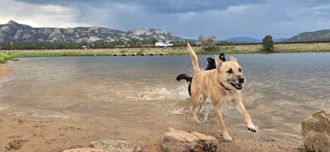 AC9h4npJevm49i46OVDRjZMnCF7tw hmnbVGckBZPzP0HiB3Y E8ur RgVIIcCeyDGOvRwbegNjQFxOggWCxZpUBu54bN80nUR TFwEJGgn1X1rk10r7CwjKV aHpdYRykRIUxzDb35LwCVlGHRRw1600 h1000 k no