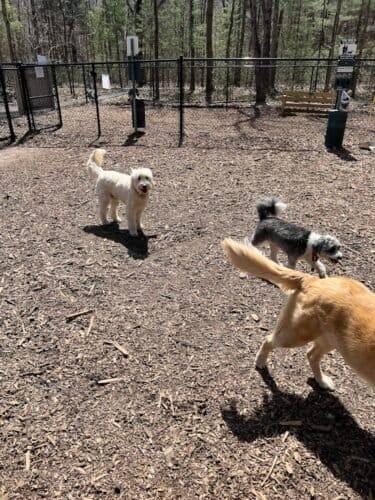 AC9h4npJiOlhhBTggib 8nEqyujFLoNZp4g6YdiFLXYCGPM59Bvgg8F7nMKxesmeV9SVD kRWNdEGfskWaxGYVMGOLgpJPSkFVfxAWNTDiOHMuEhnmBvDhVNK pucOIrXdujuyz 8Nz5w1600 h1000 k no