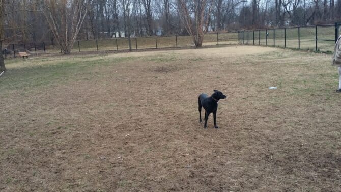 AC9h4npJnQoDXgm8bT7Yot 3fixYuwliCsWdfaQGV4VfMNpH93HDURGI3JLx4JvKqfzNrk67fs TxkOcJnzw3CkmWr nrXisNghheH 0QLewXTLFaPqaMLrETc3KqXkJrGF1POuW3dmaaAw1600 h1000 k no