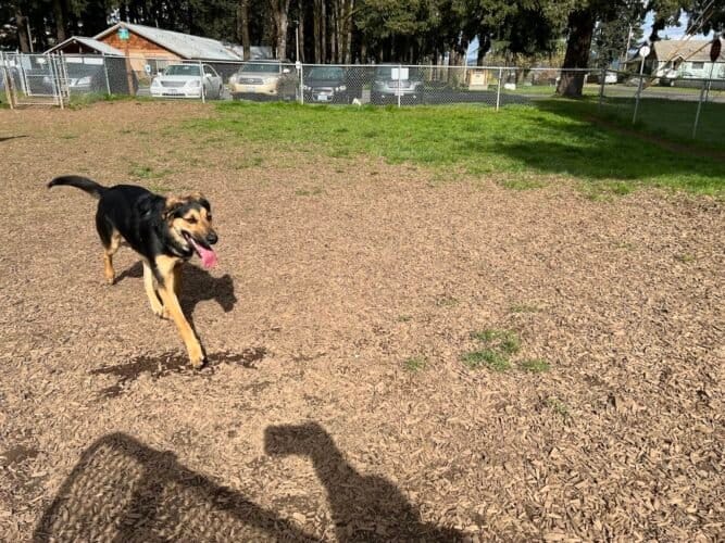 AC9h4npJnnUQSbKXnlChqd09YElxcGXVBhek2hHmOuJMyWVo deOZtRyX Q8tw8sMX6MTvHHa 0uXqGSMl7ubScRaOL TnQoBm2CIQZCZo6x4XtO0htizfRjcGC FY8KGohHz0cCxRIw1600 h1000 k no