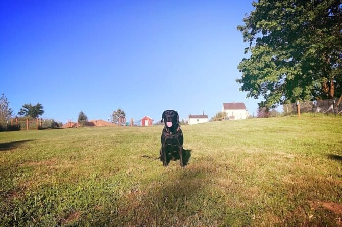 AC9h4npJs6OZ3jpzK8MdjOia7DtsM8wrYOwPS9QyjjiULgTmt39tOGNAQMY X54QzqZ60S 8IasaWhs1T3dqEApQnhKm8dH1nE8UPpotmf IlIV4y7LZtogUJNampk8DpaY2mUg7fJPNw1600 h1000 k no