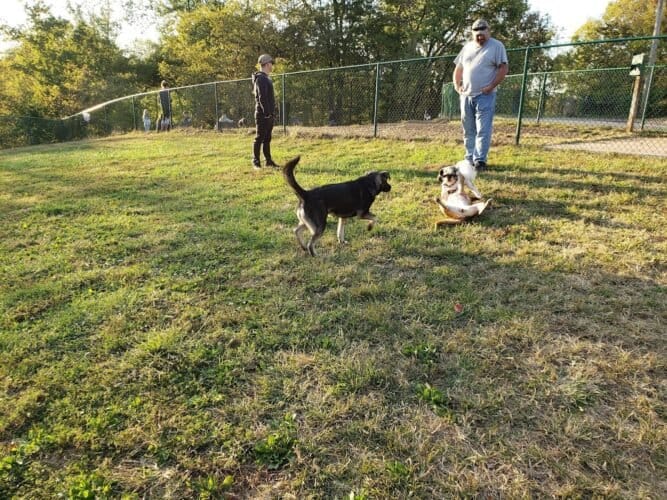 AC9h4npKKV4Hk5rwZv6QH17V6OAHYWjb0rNC92idVkIVYQvOKTxaLwqBsR6iz Zr1mu7GxfNSxOKUOtRA9l9FOvXDzAZ9xN4G9rmRi7FEFoY6icdMUK7K4K cLO8GIQswDPOPn1NA kyw1600 h1000 k no