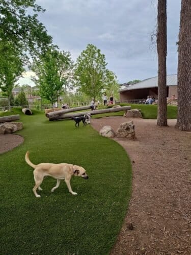 AC9h4npKNPhoHIXsuAJ9xwruiRmm0 HCE0eRAhOvzOWb bcjOCMvnBk03D8nM0VeOwIkOOlNo YBINHiaeKQOzyd5pFwD8JJ7tkBWTVlPwwWR33UA22kByyP4T8aZvGX J0VUceXC vDw1600 h1000 k no