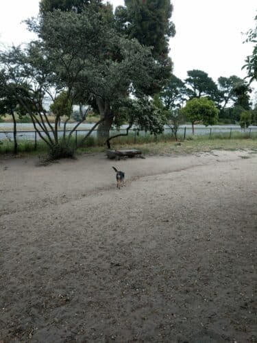 AC9h4npKUFPv21cFCT4sCbBdA6tA8ncjwxZcaTM6mhRkZ1IXXg0dOIkoW0Pol3fzNNJjlzdYDhNlgWU3vrnaS7JKwnqeCsybeB4F2kJrtOD0fBvDU pN9ablYYfJ53mBMEq4VJrXQcUcw1600 h1000 k no