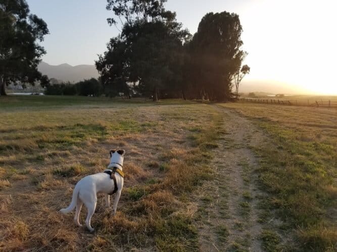 AC9h4npKY5NUK5HUcJhPiJI6uCy u Qr9rZTun9ZyIEY9z58sPM8D7SJ9YDjpQDEvwyp9J17pObsD1MXmEsDQyKvg1GT h2PVp2RATv7gmjp2 ZjU Woee6 ngqjIS4bg U9k 3ltKXuw1600 h1000 k no