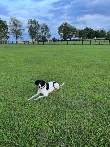 AC9h4npKpi7q53gsfs4OxS9aeAj2K3Ll2noktNi8ELr gVy8UhaK1r7wLfeS6kas6Dep5Ft3hkCg4sLe72QAsPxQUC cDBsvAo0fiaNDOcri5mPKFkIPtgTsCNmvMVdTxh5c0cmaZL5Cw1600 h1000 k no