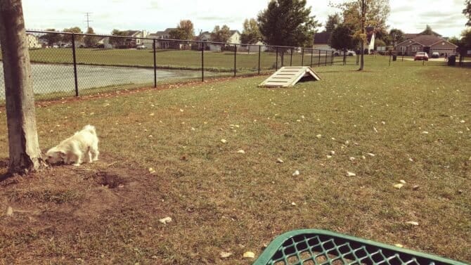 AC9h4npL3ZYsW3hBqwoNDlisXEa2bHgTJciAwOFKfQBwmhatycWFGI8QpYde2mN4T9re989IGt 9s7u8fddAlXr wTq  R9YV 2Hxcag6FjEHFtDb6FJfzhYnLbeDpsv HulX04vYr92Lgw1600 h1000 k no