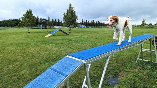 AC9h4npLOWIfrcVICVHilXAb MlST9bmPMPxbU9mURQVYqUs49 xH3UOkedWe9eTTzj2yD8GGtRE9w0TTToFU5hmImEJP3 enHn2mxFMkJNty7eyHu9axSc1Jj0vo2QL86tsVXTeG 2mOgw1600 h1000 k no