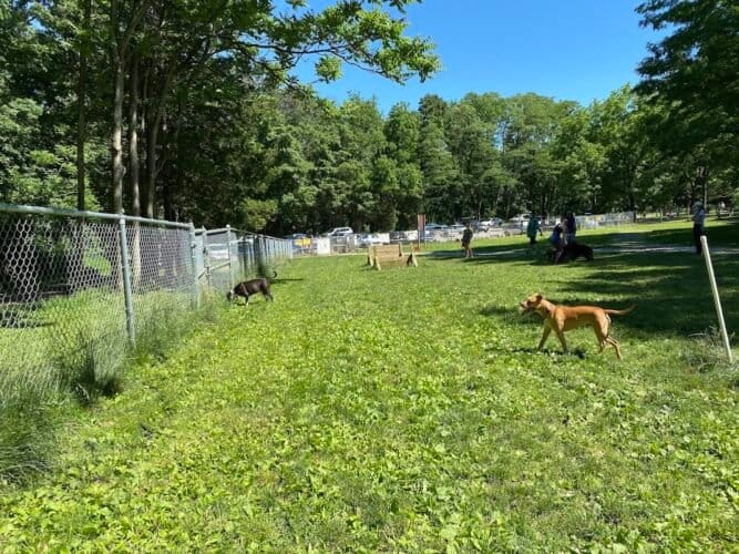 AC9h4npLTEDToSmhlbzV8bw8UKZdasDl42 i JLdzQ5ys gs7yCCFmh0m32PziwzzSkGqSj OvFcx JnRJIh9o4n2nA6sqBKeY2PhlEOzWBcGpCuVAD  xw11hRFTbvqm3u87efglVevw1600 h1000 k no