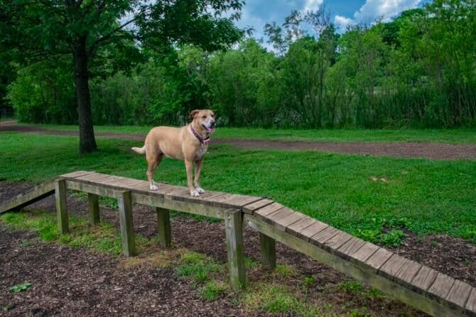 AC9h4npLV2nSAk5padwf qw1EhVZEyCYLWBAD9qRZrqWvksQwKyH8QZ73yKhMbJhIMYBbRaio6irpFKwctIQN 7iRKGrIqmXHwq XK7Yfw1YBtKu548iQCsnSXQeR8IRp2EVlPPuNVBQ5Aw1600 h1000 k no