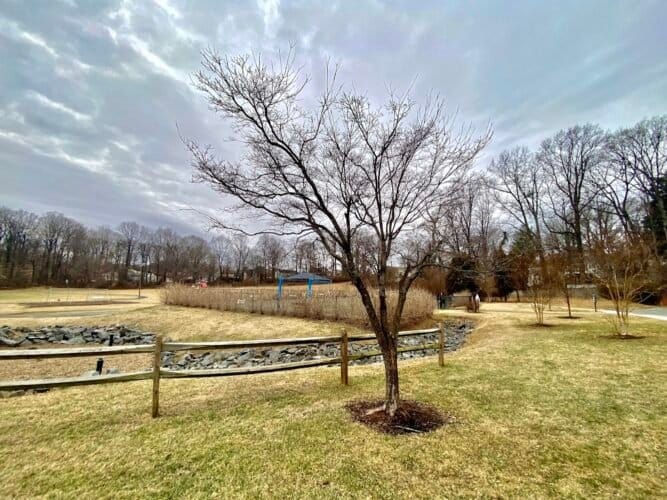 AC9h4npLY1Zl8KQL 438vkyGtLpwkibP80ow1HSLdeaQZmSgcEkvcrgwcINHK Ljr095BLpuX1kC8dpFKd6XvWdXJ6Z4un6 JHqYYmM6AjjY3NdRCufBhpFOtSeqn pSH0jlk34 I3Aw1600 h1000 k no