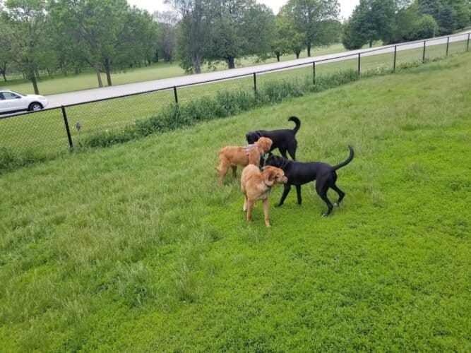 AC9h4npLZHDN7wT97iemERVWDTV2Zo6iye5A yz9qUmvFMHdIq8L nYaUXCoIbIik7xn7hJ3F Y16u A3BKAWr8QGXs7HHJosET8FI52TQ25fgloxHbjXLfdzbeM7gskj uanVtjU1kPw1600 h1000 k no