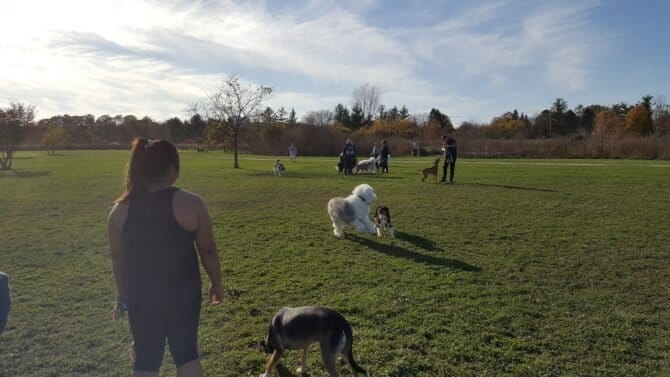 AC9h4npLdjjHqy53SZVzw SYDelaCtTmcSvLDXd4eLfb6tkEP2mWBh4o4hBGIwXThahjY0wwZfiiIKDO4TuofyrLYPxF GKJnXtCZrHUQqa5H1yG74Xca6rDqqMMlz3vI094PXHOH7YdWAw1600 h1000 k no