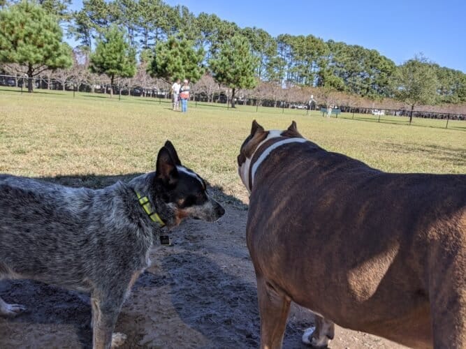 AC9h4npLkbYNoiOotlJ3Noo4MTZv rIcuPTwhphkXD45DbKEVx5dOXtejCpXzs7nXe0Skk3SGvRIVY3ZzdYwlDKsrNGHisn9apR9iYw Dd5objI5jNiXqbaSktSEvPJSNf5BJ3gt4NnKw1600 h1000 k no