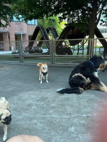 AC9h4npLr8rbYbs9ut310bUezFKLvErS69r89QbWtZcNyrmArd25Nh2UydaIJtnNkb kjPOh0OH6s9g3S3Ugv0BxLtVDDw1brwaPia0kFF6XaE4jjCiz8R3guBO92DiRVMwmeWRSzBoCw1600 h1000 k no