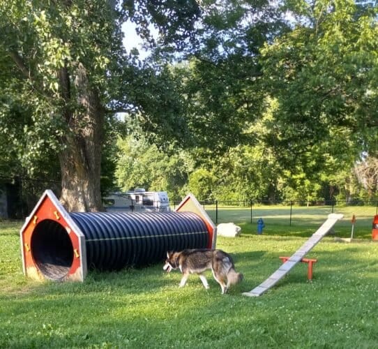 AC9h4npM37G5sH2p 85WAKsoyr9Ke4naln4N5W zeArVjReCYIdFRwZudEynbAHC0xjmeYxdO bdyMaskbGZIRo3YaJFkK h07R8xS9VcsAw1600 h1000 k no